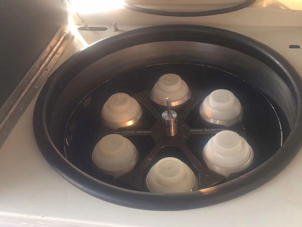 ���֌��������x�ęC